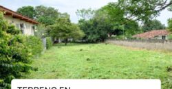 Venta de Lote de Coronado