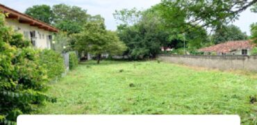 Venta de Lote de Coronado